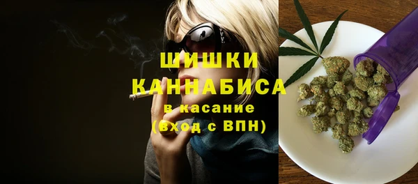 мдпв Надым